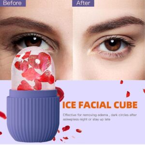 Ice Face Roller Silicone Facial Cube